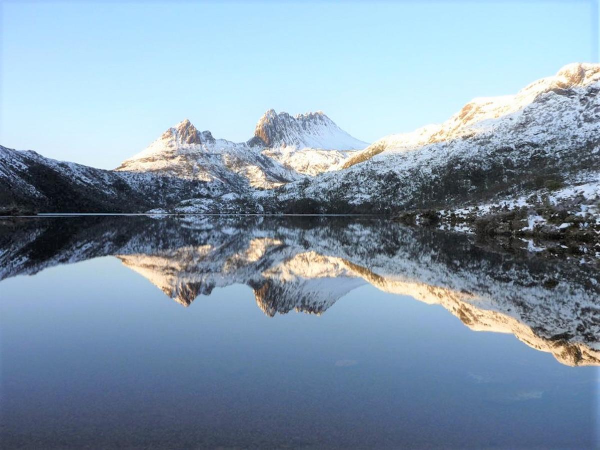 Cradle Alpine Retreat Panzió Moina Kültér fotó