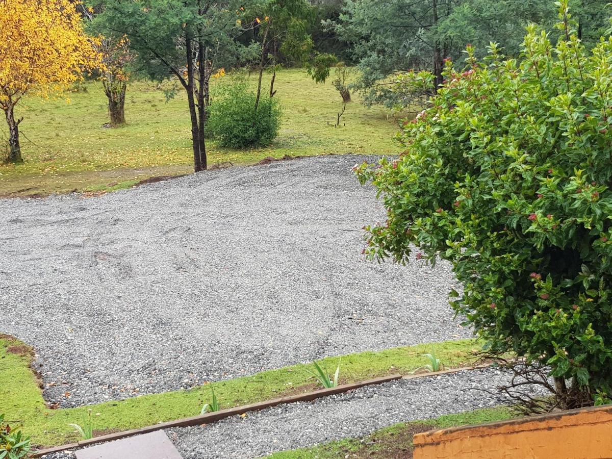 Cradle Alpine Retreat Panzió Moina Kültér fotó